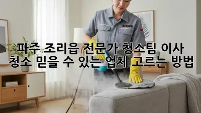 파주 조리읍 전문가 청소팀: 이사 청소, 믿을 수 있는 업체 고르는 방법